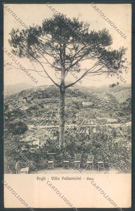 Genova Pegli cartolina ZT4193 – fronte
