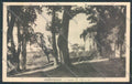 Genova Crocefieschi cartolina ZT4801 – fronte