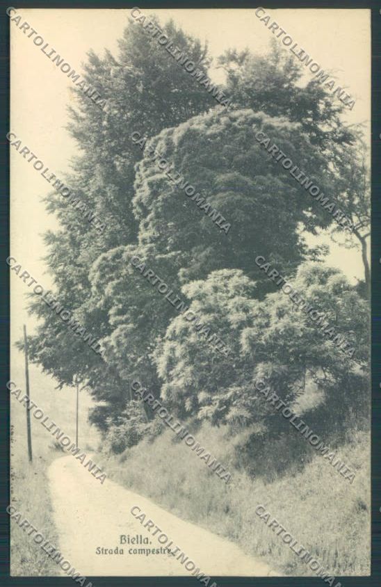 Biella Città cartolina ZT5240 – fronte