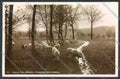 Biella Valle del Cervo Pastorizia Foto cartolina ZT5864 – fronte