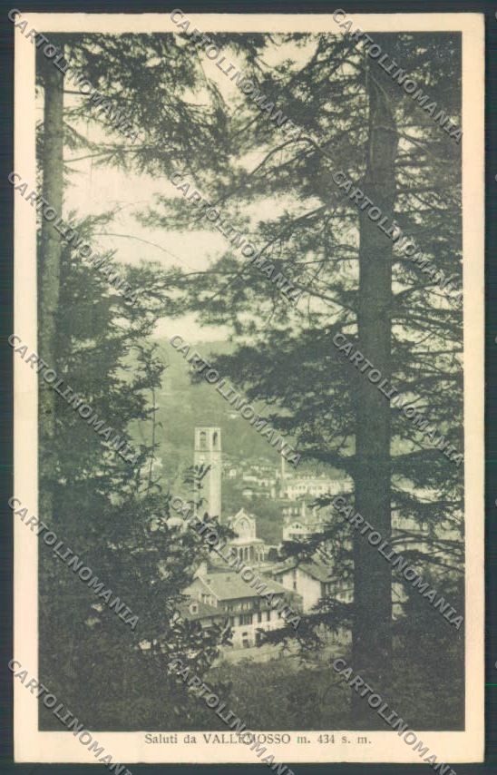 Biella Vallemosso cartolina ZT5891 – fronte