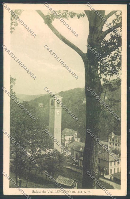 Biella Vallemosso cartolina ZT5892 – fronte