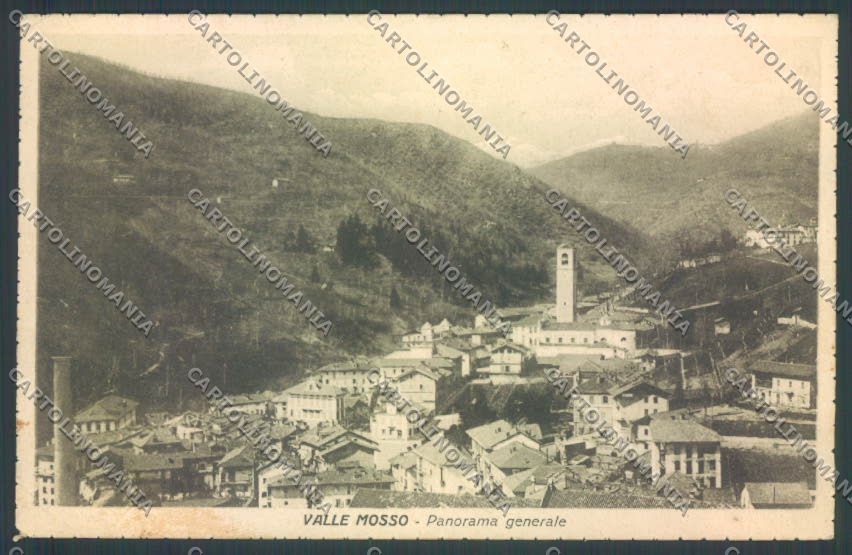 Biella Vallemosso cartolina ZT5900 – fronte