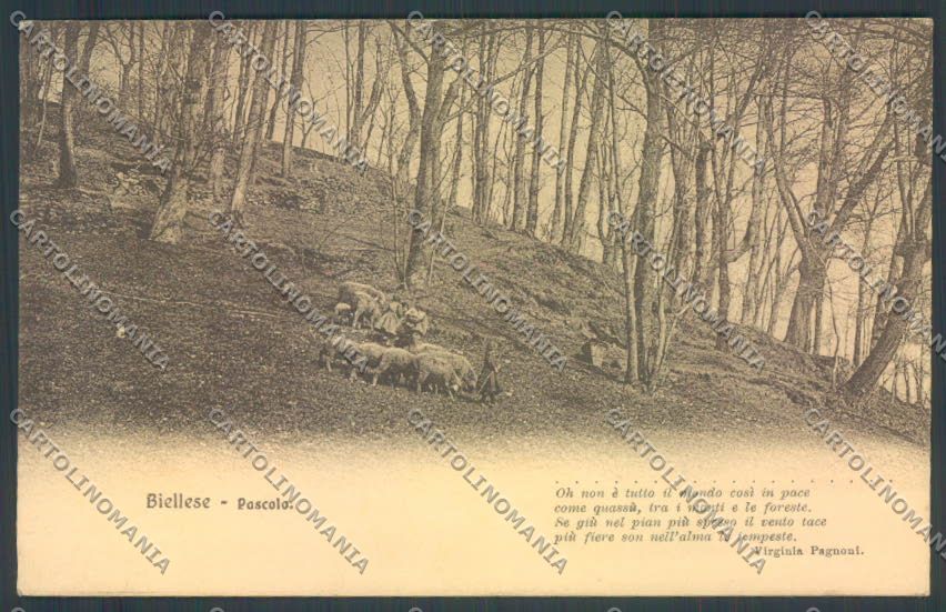 Biella Pagnoni Pastorizia cartolina ZT5988 – fronte