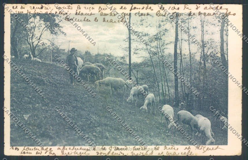 Biella Pastorizia cartolina ZT6025 – fronte