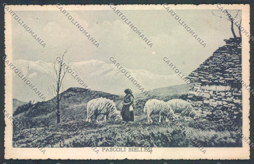Biella Pastorizia cartolina ZT6053 – fronte