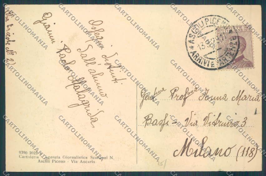 Ascoli Piceno Città cartolina ZT6115 – retro