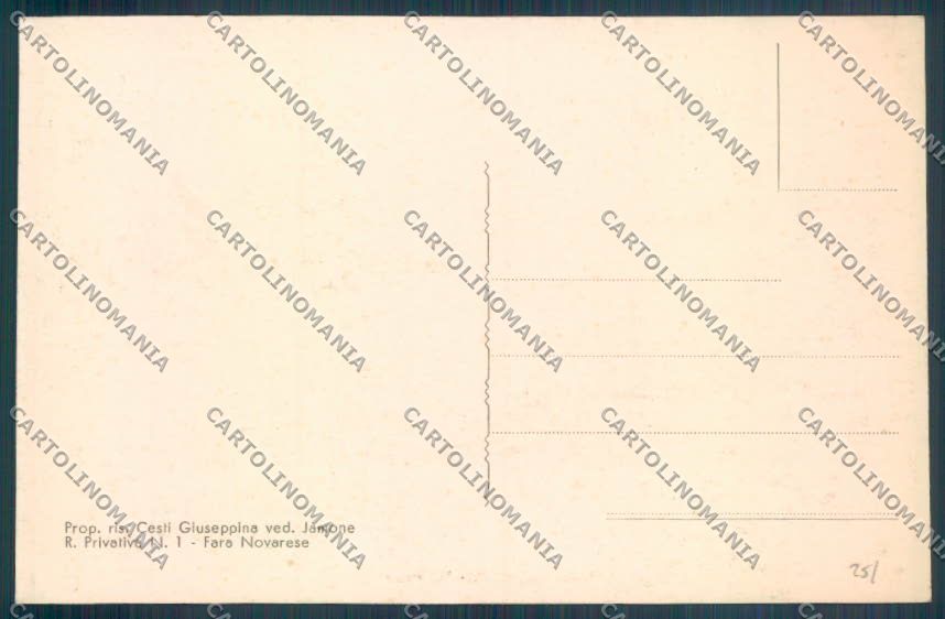 Novara Fara Novarese cartolina ZT6267 – retro