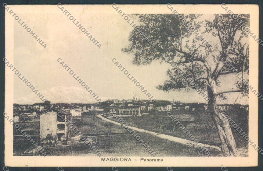 Novara Maggiora cartolina ZT6316 – fronte