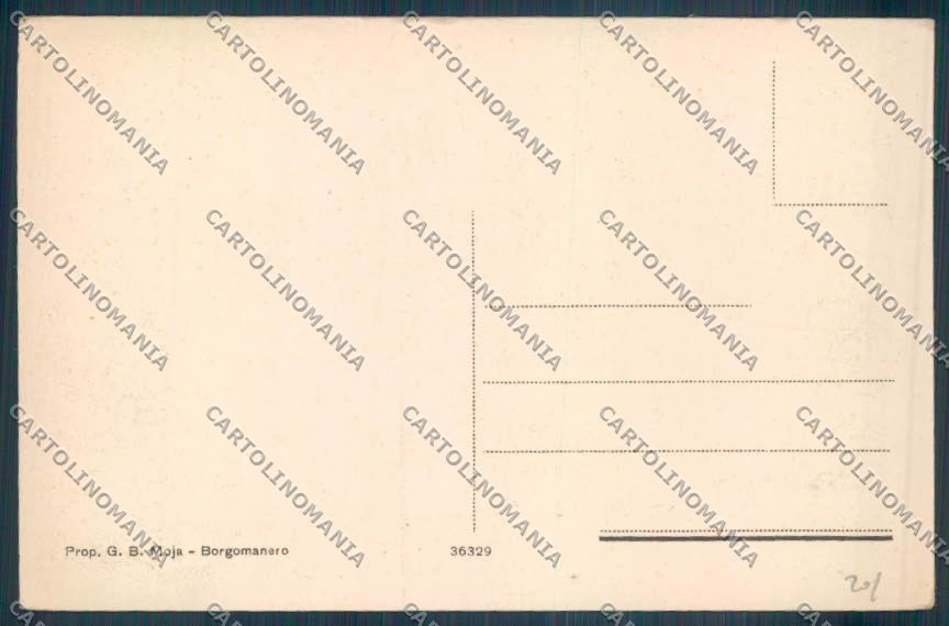Novara Maggiora cartolina ZT6316 – retro