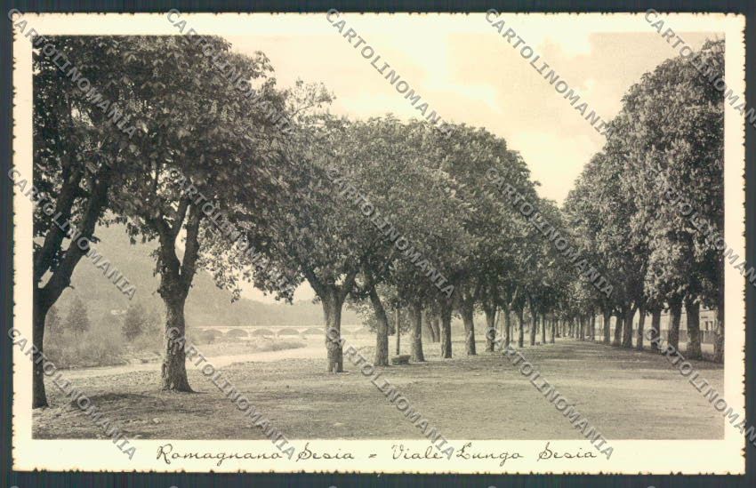 Novara Romagnano Sesia cartolina ZT6330 – fronte
