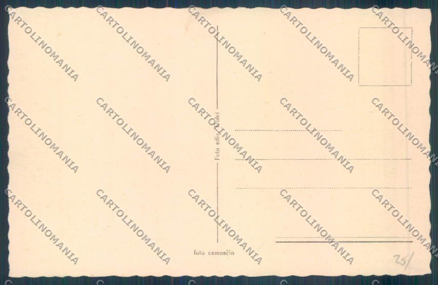 Novara Suno cartolina ZT6335 – retro