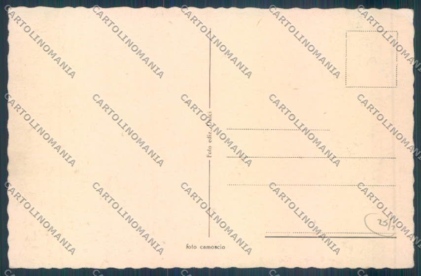 Novara Suno cartolina ZT6336 – retro