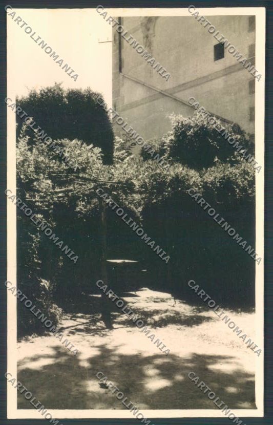 Vercelli Civiasco Foto cartolina ZT6582 – fronte