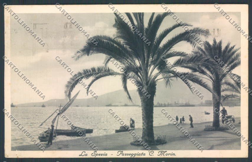 La Spezia Città cartolina ZT6659 – fronte