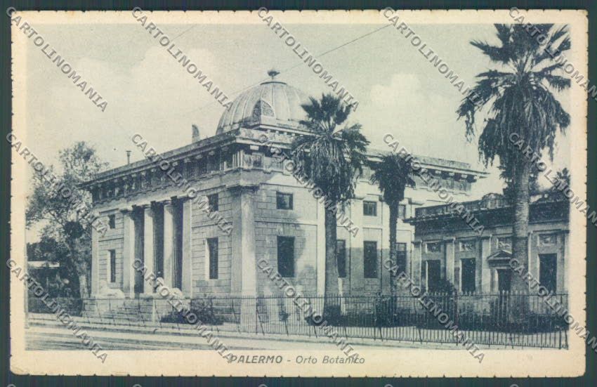 Palermo Città Orto Botanico cartolina ZT7411 – fronte