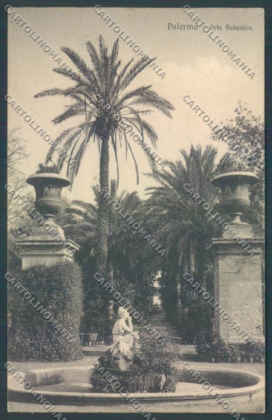 Palermo Città Orto Botanico cartolina ZT7485 – fronte