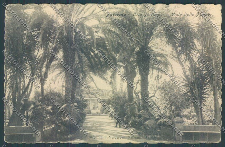 Palermo Città Orto Botanico cartolina ZT7486 – fronte