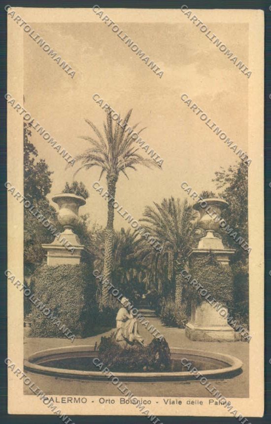 Palermo Città Orto Botanico cartolina ZT7487 – fronte