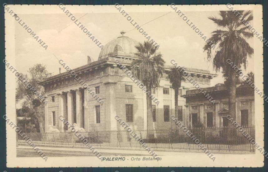 Palermo Città Orto Botanico cartolina ZT7488 – fronte