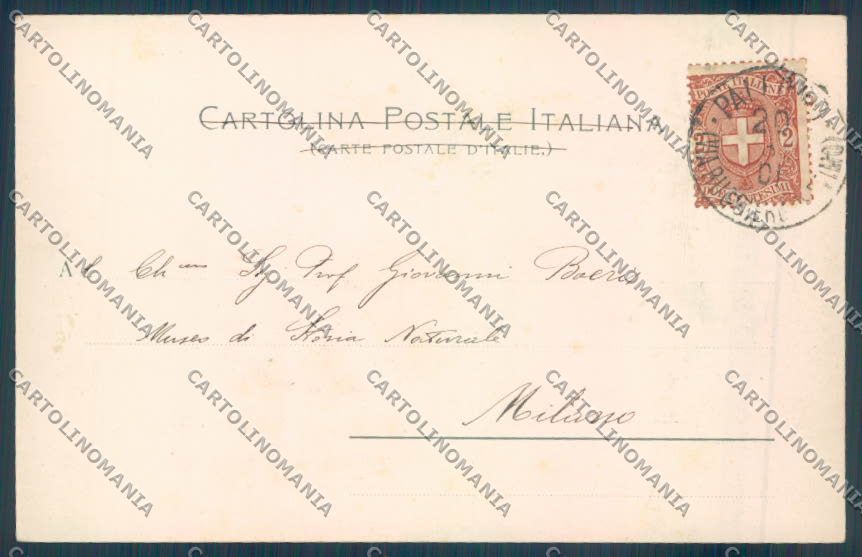 Palermo Città Piazza Vittoria cartolina ZT7532 – retro