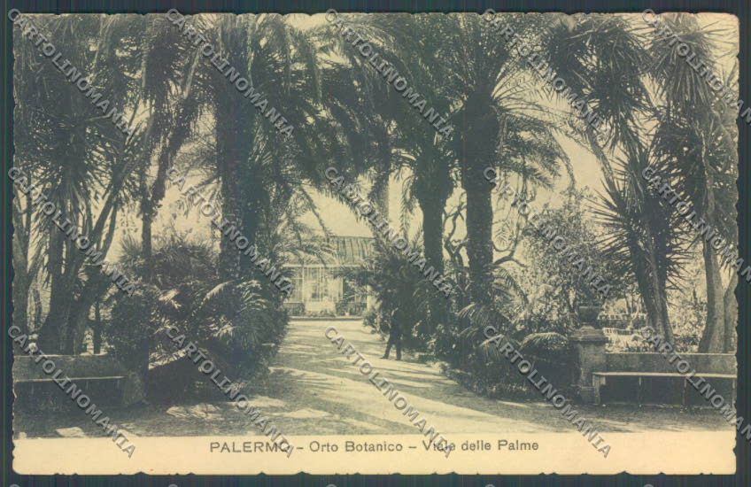 Palermo Città Orto Botanico cartolina ZT7598 – fronte
