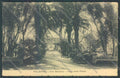 Palermo Città Orto Botanico cartolina ZT7598 – fronte