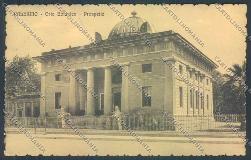 Palermo Città Orto Botanico cartolina ZT7599 – fronte