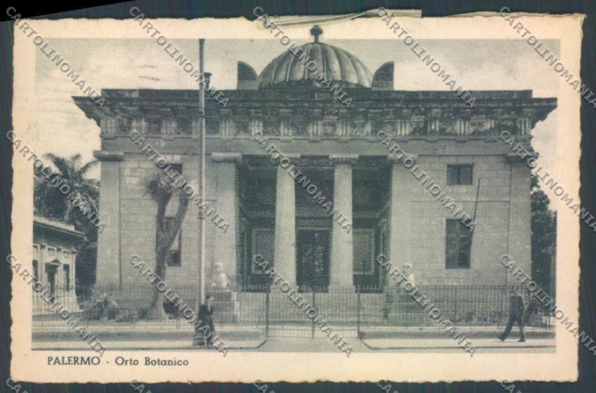 Palermo Città Orto Botanico cartolina ZT7603 – fronte