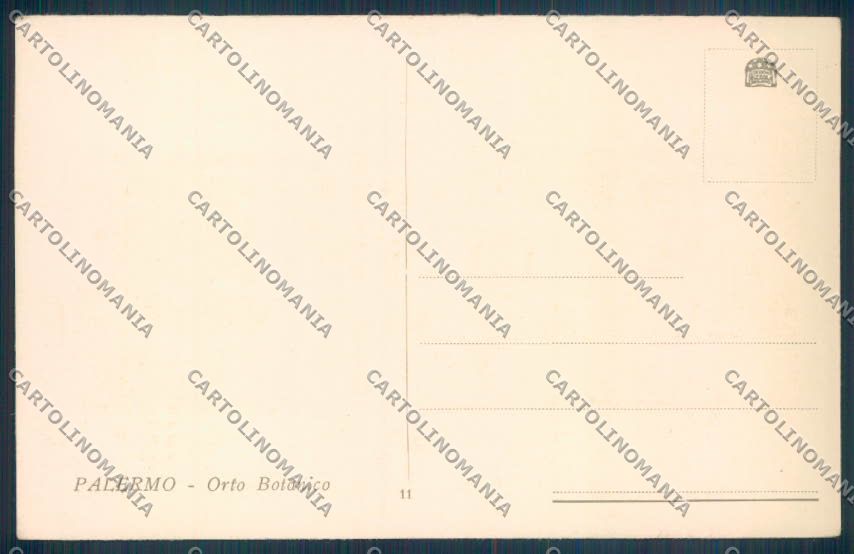 Palermo Città Orto Botanico cartolina ZT7839 – retro