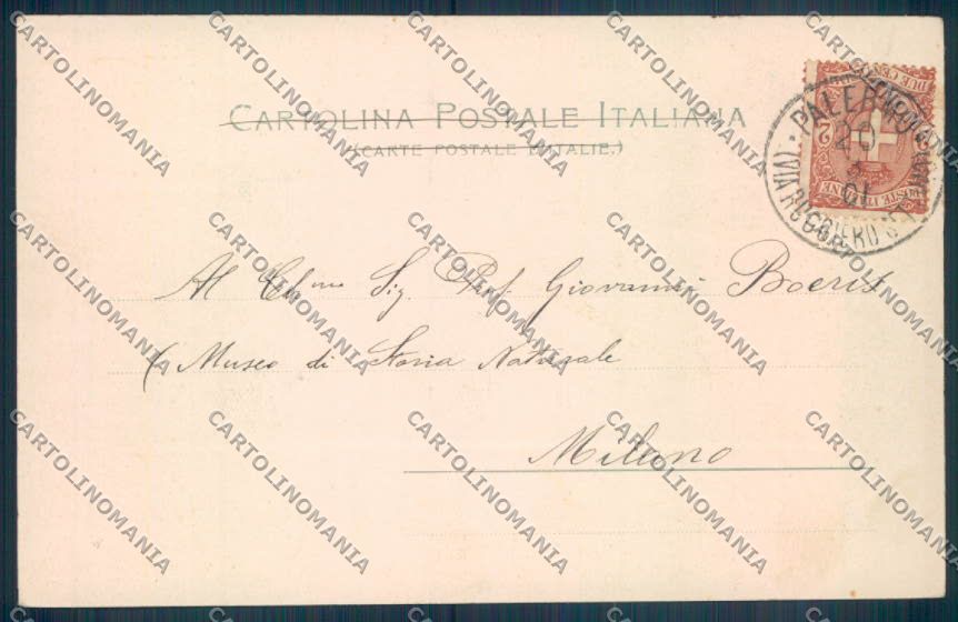 Palermo Città Cattedrale cartolina ZT7890 – retro