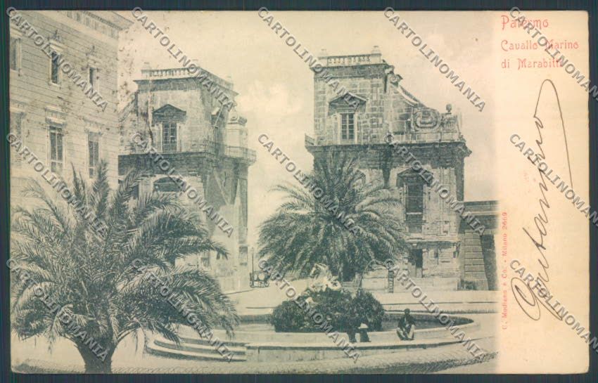 Palermo Città Cavallo Marabitti cartolina ZT8049 – fronte