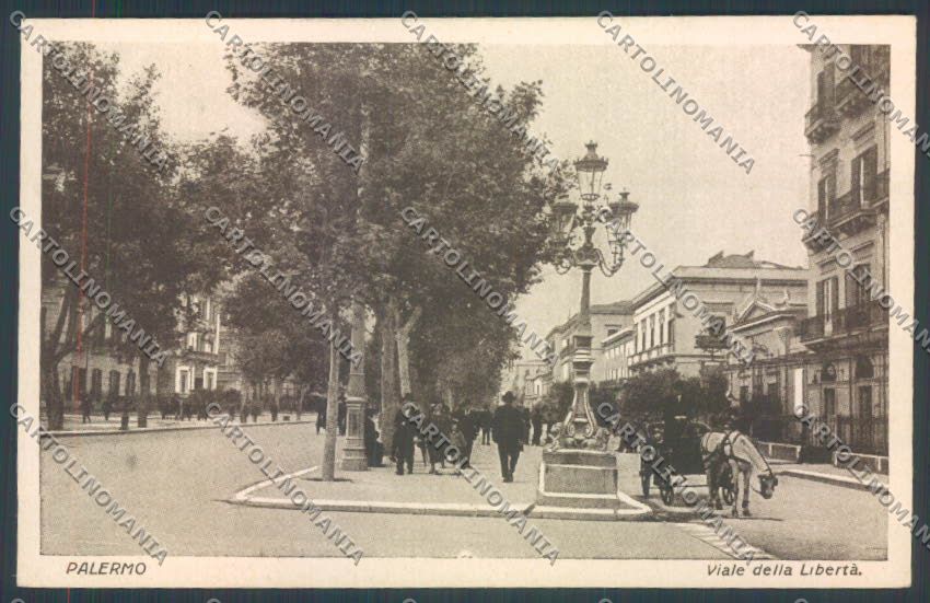 Palermo Città Viale Libertà cartolina ZT8053 – fronte