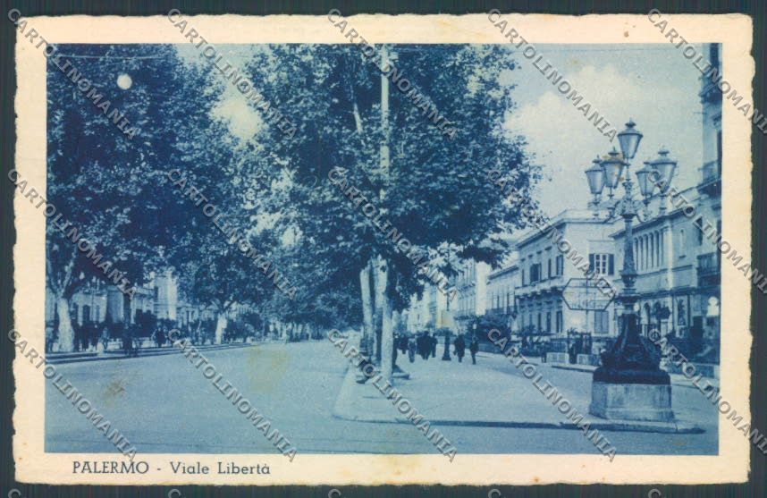Palermo Città Viale Libertà cartolina ZT8166 – fronte