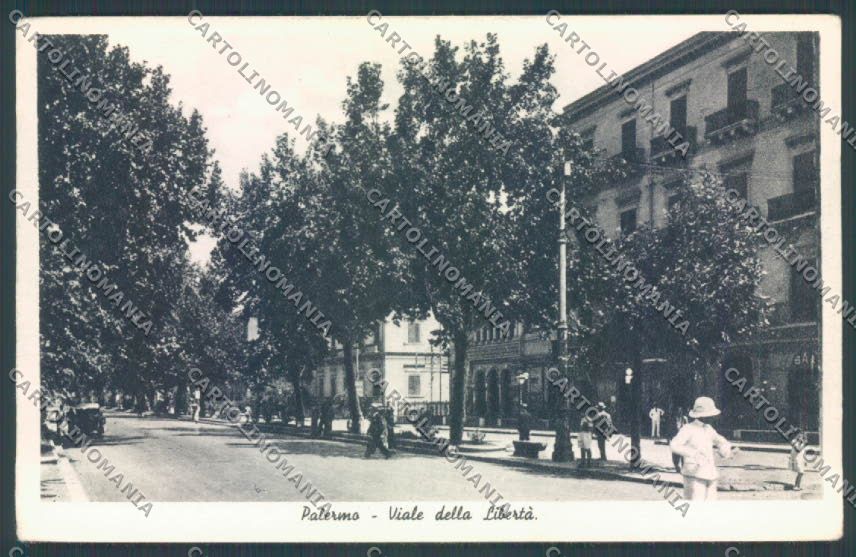 Palermo Città Viale Libertà cartolina ZT8212 – fronte