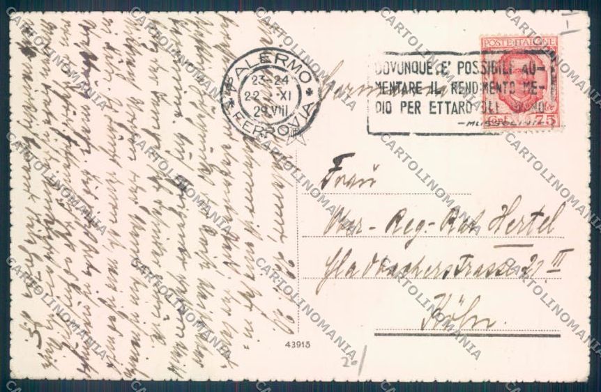 Palermo Città Via Maqueda cartolina ZT8232 – retro