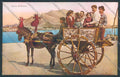 Palermo Carretto Siciliano Monte Pellegrino Asino cartolina ZT8344 – fronte