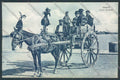 Catania Carretto Siciliano Asino cartolina ZT8347 – fronte