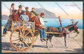 Palermo Carretto Siciliano Monte Pellegrino Asino cartolina ZT8349 – fronte