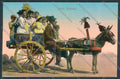 Palermo Carretto Siciliano Asino cartolina ZT8350 – fronte