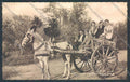 Palermo Carretto Siciliano Asino cartolina ZT8356 – fronte