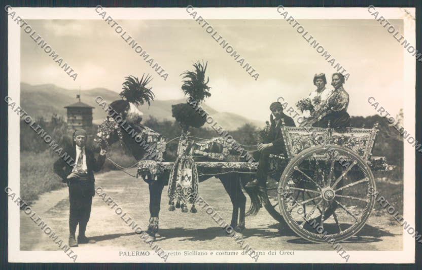 Palermo Carretto Siciliano Asino Foto cartolina ZT8359 – fronte