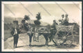 Palermo Carretto Siciliano Asino Foto cartolina ZT8359 – fronte