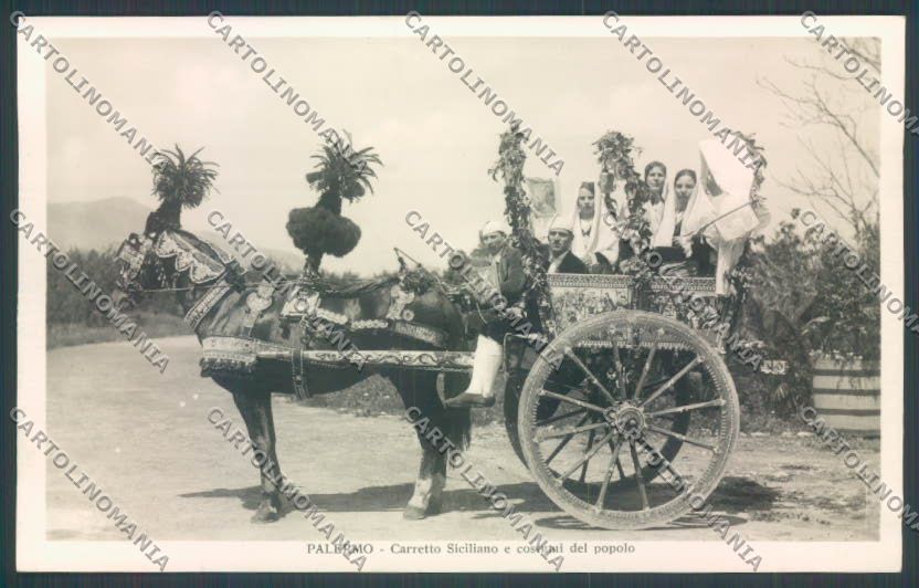 Palermo Carretto Siciliano Asino Foto cartolina ZT8360 – fronte