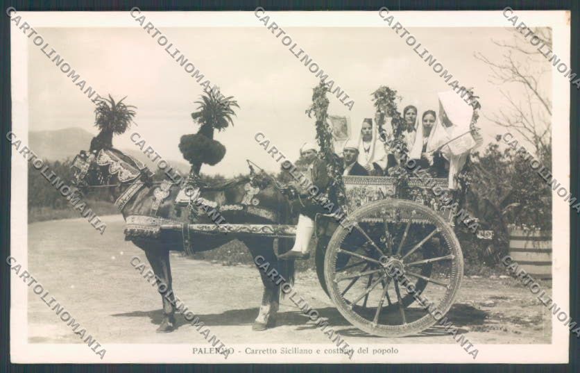 Palermo Carretto Siciliano Asino Foto cartolina ZT8361 – fronte