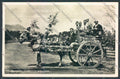 Palermo Carretto Siciliano Asino Foto cartolina ZT8362 – fronte