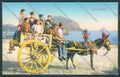Palermo Carretto Siciliano Monte Pellegrino Asino cartolina ZT8369 – fronte
