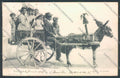 Palermo Carretto Siciliano Asino cartolina ZT8374 – fronte