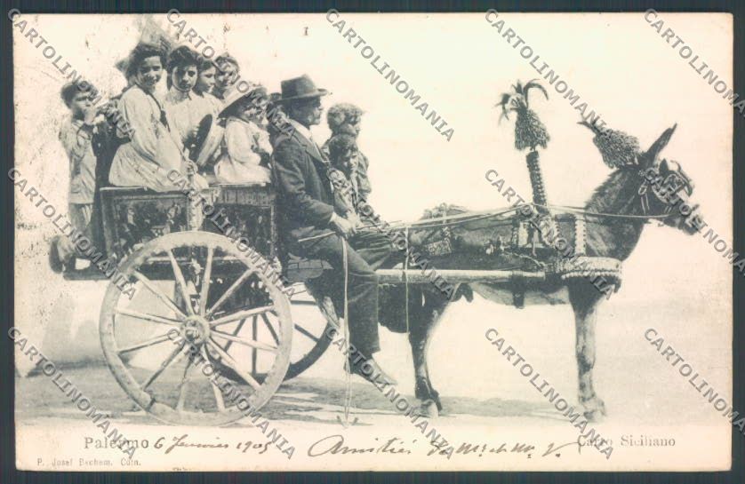 Palermo Carretto Siciliano Asino cartolina ZT8374 – fronte