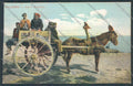 Palermo Carretto Siciliano Asino cartolina ZT8379 – fronte